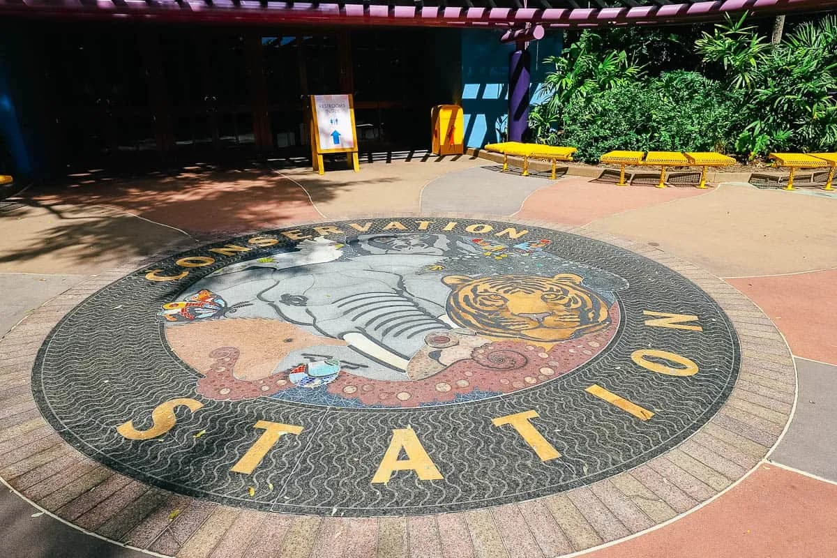 Conservation Station