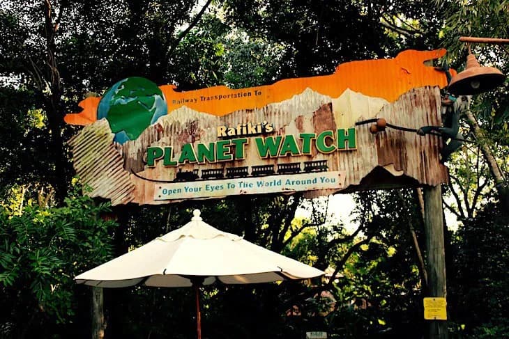 Rafiki's Planet Watch