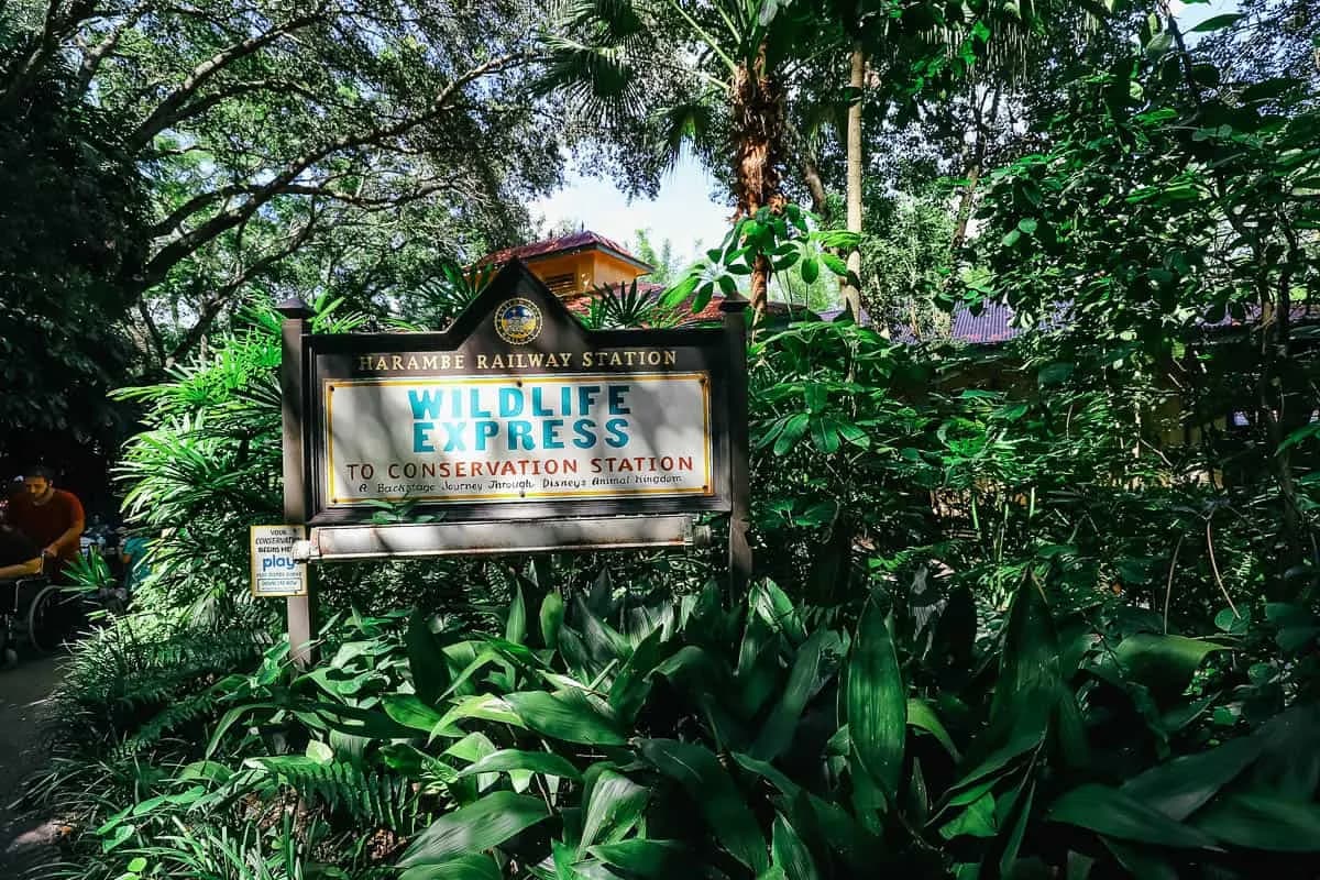 Wildlife Express Train