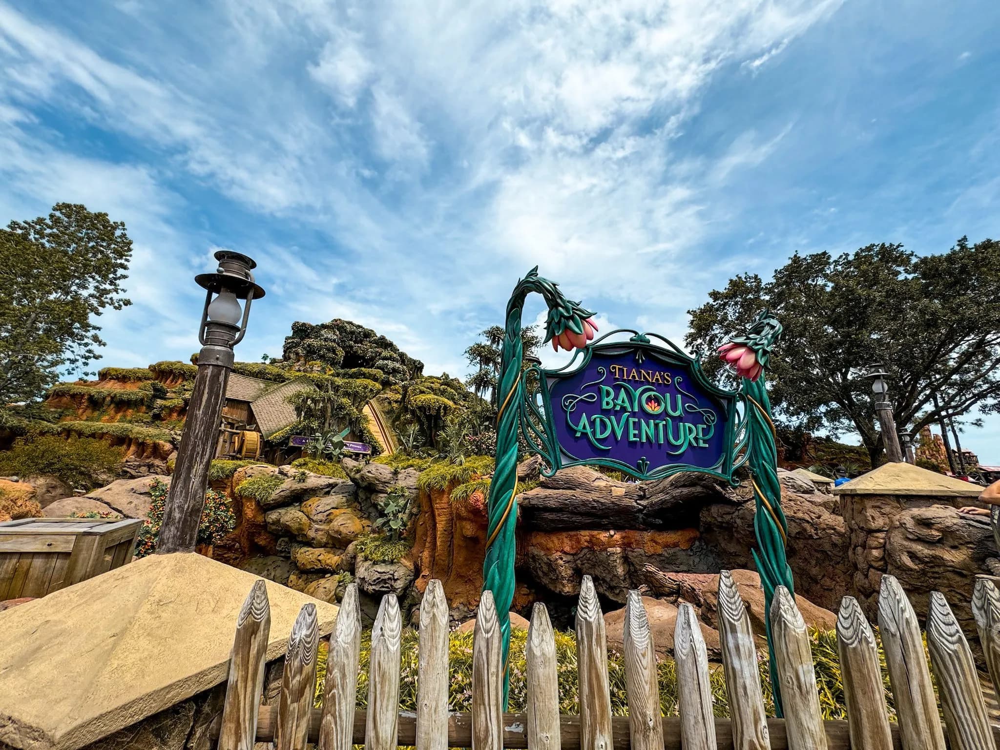 Tiana's Bayou Adventure