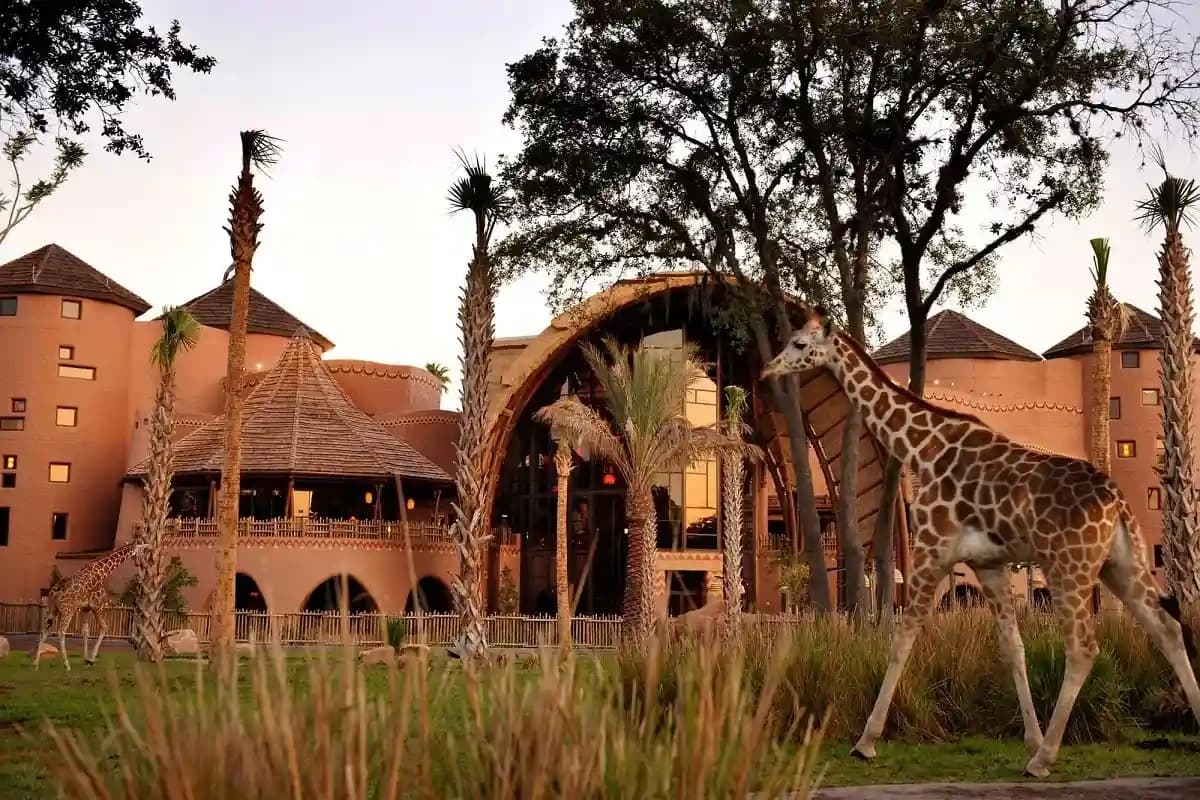 Disney's Animal Kingdom Lodge