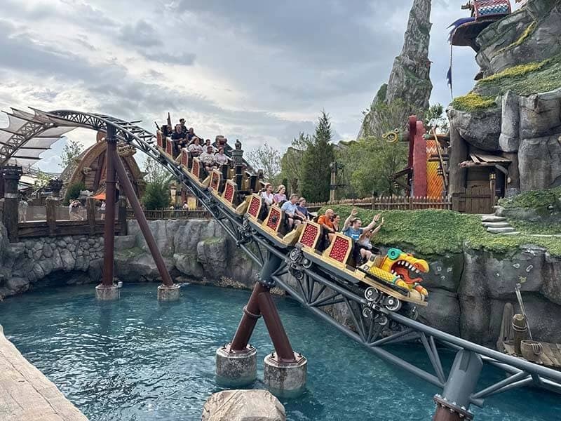 Hiccup's Wing Gliders