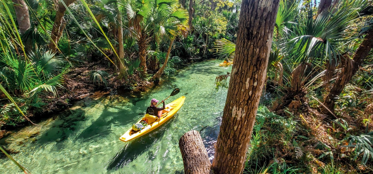 Humedales y vida silvestre de Florida Central